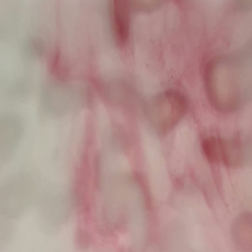 Mississippi River Glass 1007 M