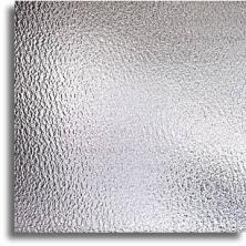 S100g