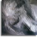 S-BR-Gray