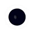 Muggel 25 mm schwarz